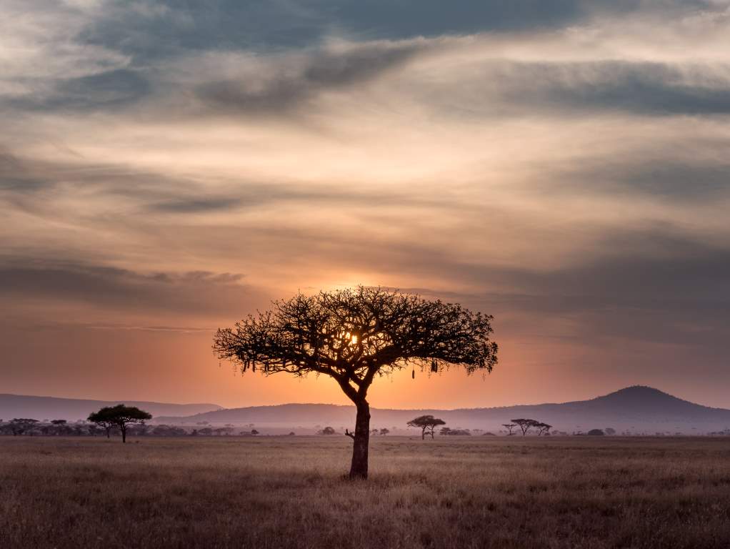 Titelbild Beispielwebsite Startseite